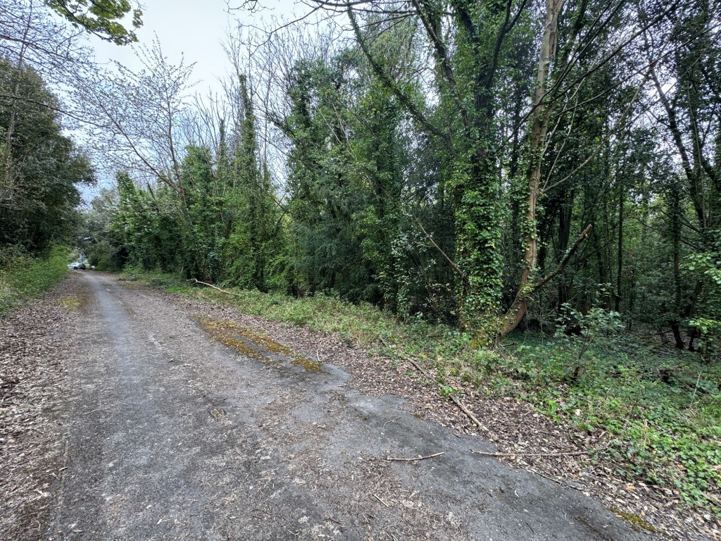 Lot: 7 - APPROX 1.7 ACRES WOODLAND - Woodland to the right hand side of old road
